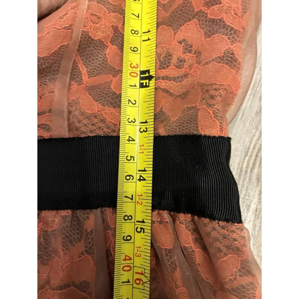 Lilly Wang For Lilly’s Closet Anthropology Frattina Lace Mesh Organza Dress 8